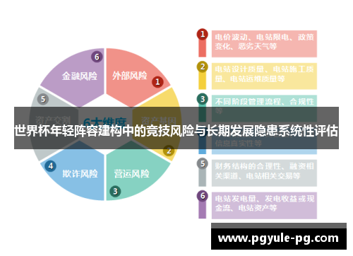 世界杯年轻阵容建构中的竞技风险与长期发展隐患系统性评估 世界杯年轻阵容建构中的竞技风险与长期发展隐患系统性评估