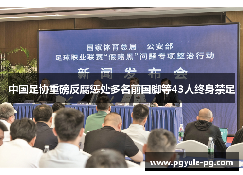 中国足协重磅反腐惩处多名前国脚等43人终身禁足